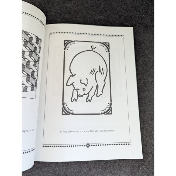 Optical Puzzles: Captivating Puzzles to Test Your Eyes...And Pencil Puzzles - Picture 9 of 10